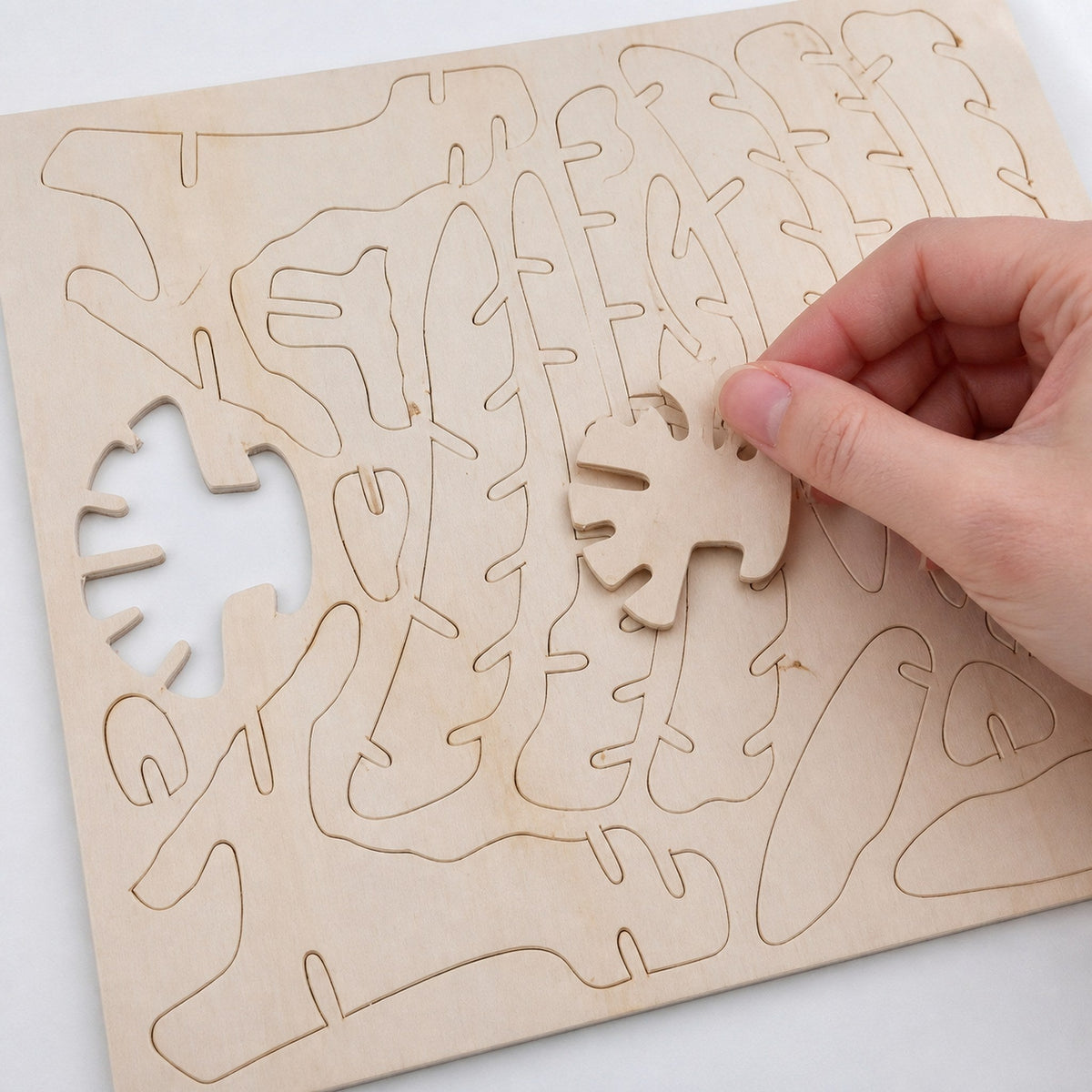 10 Rompecabezas 3D en Madera — más de 30 modelos posibles