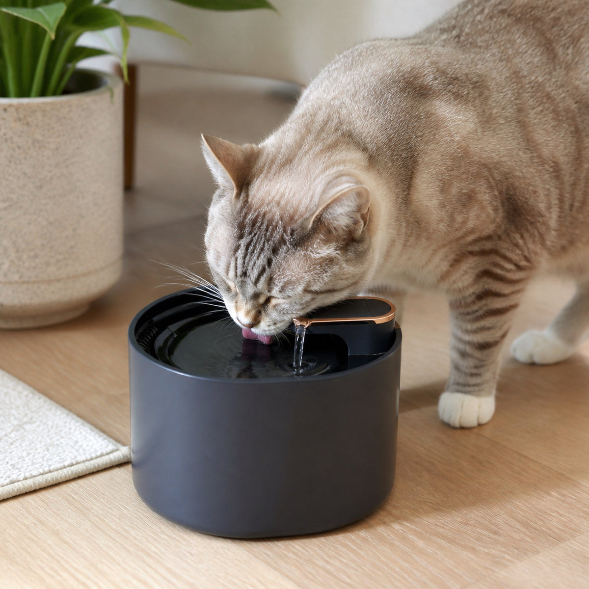 Fuente de Agua para Mascotas 3 L — Doble Filtración — 03-beneficio